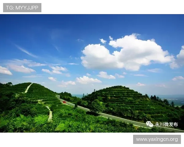 亚星国际旅游提供的特色旅游产品满足不同年龄层的出行需求 亚星国际旅游提供的特色旅游产品满足不同年龄层的出行需求