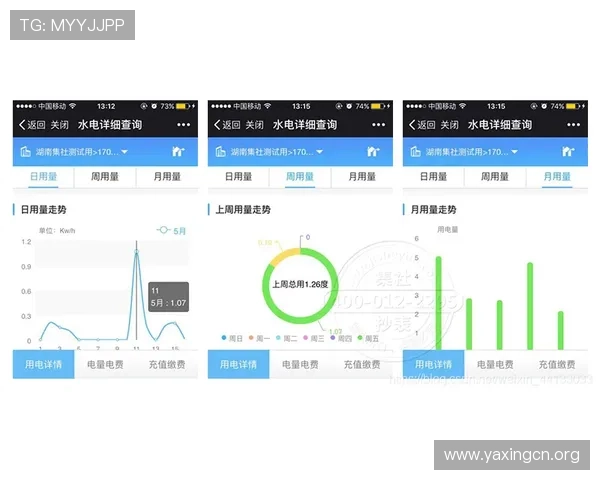 亚星在线官网登录入口官方入口登录流程详解，帮助用户轻松顺利进入游戏