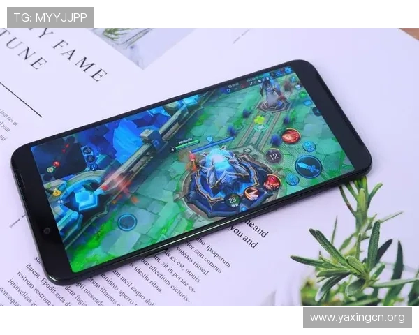 亚星娱乐手机版APP最新版本下载安装指南,轻松畅玩丰富游戏内容 亚星娱乐手机版APP最新版本下载安装指南,轻松畅玩丰富游戏内容