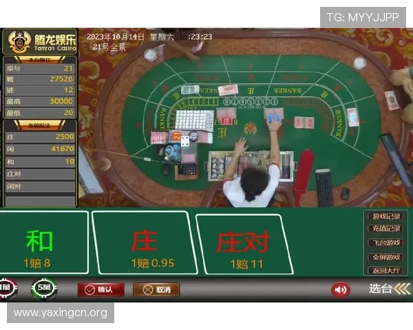 亚星游戏娱乐官网222常见问题与解决方案，保障玩家顺畅游戏体验与账户安全