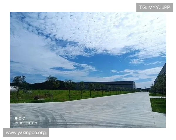 k8凯发入口官网安全登录指南,详细解析账号安全保护措施与常见问题解决方案 k8凯发入口官网安全登录指南,详细解析账号安全保护措施与常见问题解决方案