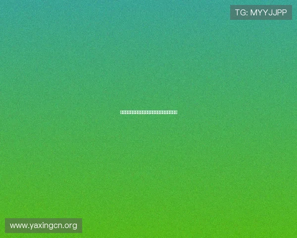 亚星代理合作流程详解新手必看快速上手的实用指南
